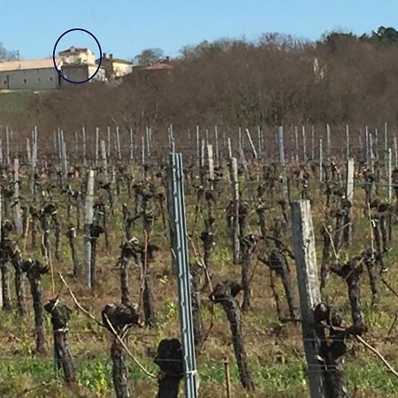 Superbe Gite A La Campagne Dans Le Bordelais Saint-Vivien-de-Blaye Exterior foto